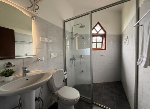 een badkamer met toilet, wastafel en douche bij Kings Villa Nuwara Eliya in Nuwara Eliya