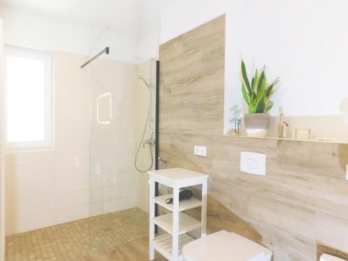a bathroom with a shower and a toilet and a sink at FeWo "Hafenquartier" in Barth