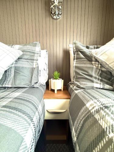 two beds sitting next to a table with a plant on it at Seashell Retreat in Scarborough