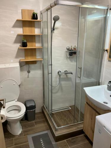a bathroom with a shower and a toilet and a sink at Brvnara Šapat Borova Tara in Sekulić 