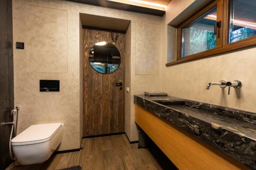 a bathroom with a toilet and a sink and a window at Chalet les deux freres in Fundăţica
