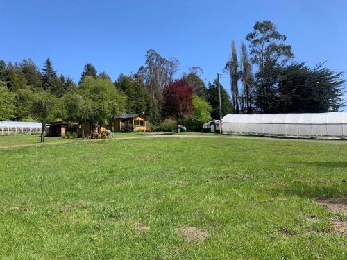 a large grass field with a building in the background at Unique Farm Apartment with Woodstove in Eureka