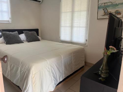 a bedroom with a bed and a tv and a window at Magic Castle Unit 7 in Santa Clarita