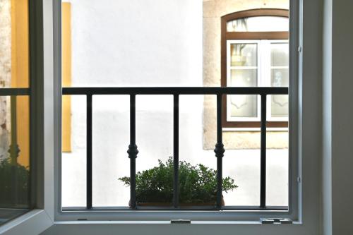 a window with a potted plant in front of it at Casa Lusíadas in Constância