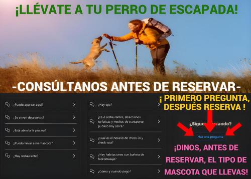 a poster for a film with a man walking a dog at Apartamento Exclusivo - María 7 in Benaoján