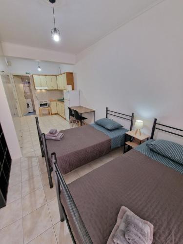 ein Wohnzimmer mit 2 Betten und eine Küche in der Unterkunft Diana's Cozy 24 Studio in Ioannina