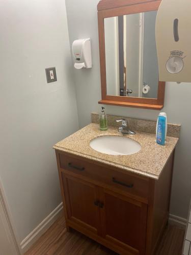 a bathroom with a sink and a mirror at Castle on Coburg in Rothesay