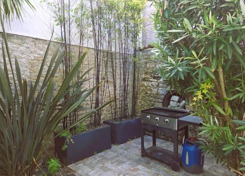 un jardín con parrilla y algunas plantas en Maison Magnolia proche de la plage à Sainte Marie de Ré, en Sainte-Marie-de-Ré