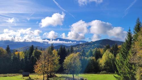 a green field with trees and mountains in the background at Domki na polanie in Stryszawa