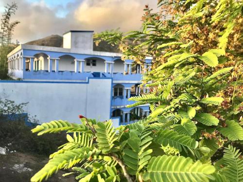 a blue building with a tree in front of it at Djabraba's Place in Vila Nova Sintra