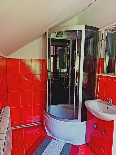 a red bathroom with a shower and a sink at Rusnak Family in Synevyrsʼka Polyana