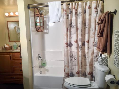 a bathroom with a shower curtain and a toilet at Ponderosa Cabin at O-Bar-O in Durango