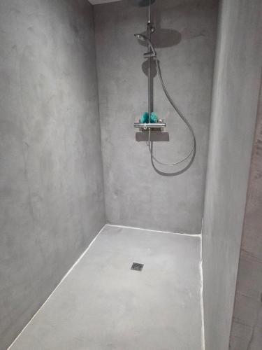 a bathroom with a shower with a light hanging from the ceiling at Chez sally in Le Bouchaud