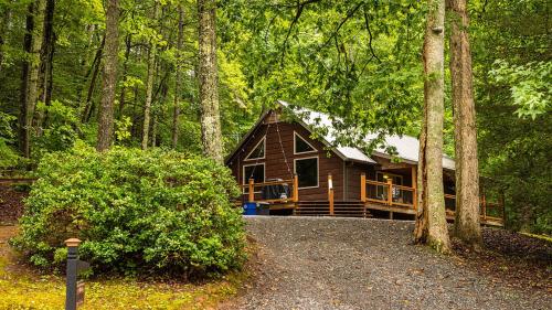a log cabin in the middle of a forest at Willow Falls in Blue Ridge