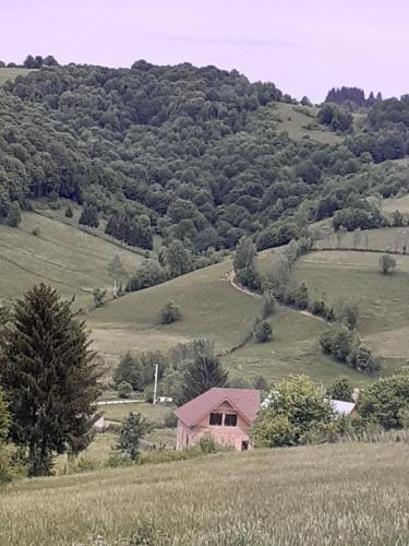 a pink house in the middle of a field at Casa Ardelean in Sita Buzăului