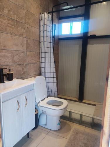 a bathroom with a toilet and a sink and a shower at Montana in Potrerillos