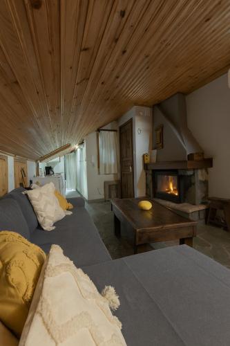 a living room with a couch and a fireplace at Ξενώνας Θεοδώρου in Elati