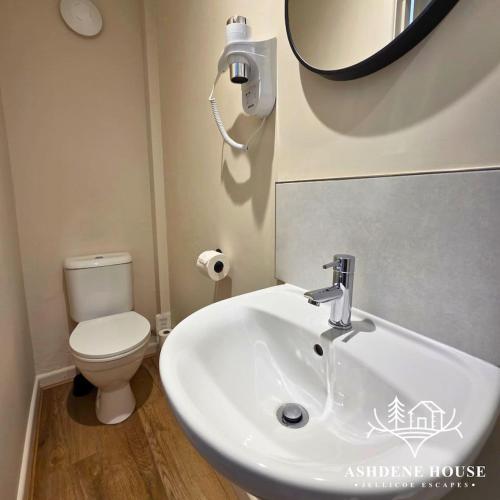 a bathroom with a sink and a toilet and a mirror at The Woodland Hare - Room 5 - New Forest in Dibden