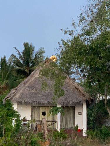 MakangaleVerani Beach Lodge的相册照片