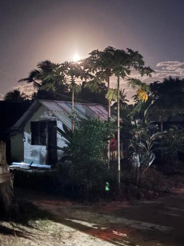 MakangaleVerani Beach Lodge的相册照片