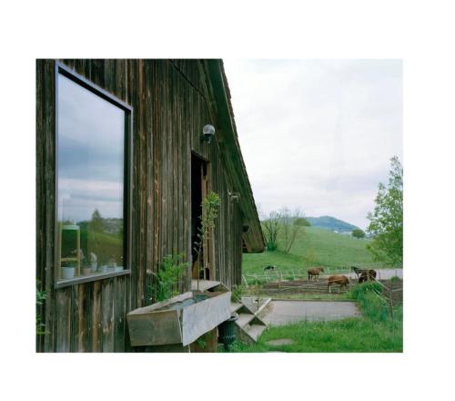 an old barn with a window and horses in a field at Charming duplex in historic farm Fribourg in Bonnefontaine