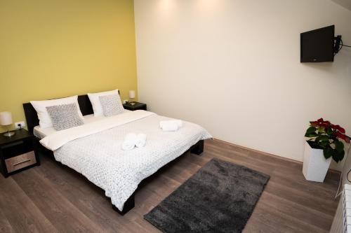 Φωτογραφία από το άλμπουμ του Jasha Apartments στο Νόβι Σαντ