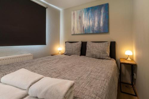 a bedroom with a bed with two lamps on two tables at Drents Genieten - Goudheide met privé jacuzzi & sauna in Erm