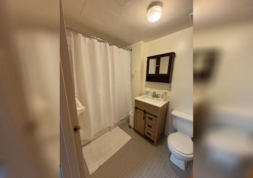 a bathroom with a toilet and a sink and a mirror at Super Spacious 2 bedroom Clinton Hill Garden Duplex in Brooklyn