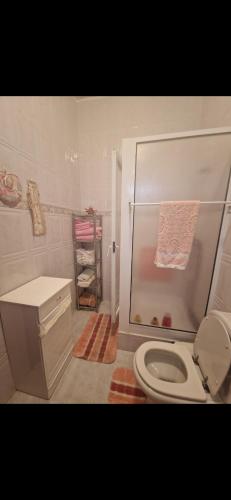 a bathroom with a white toilet and a shower at Casa da Padaria velha in Tourigo