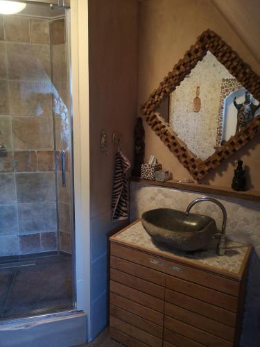 a bathroom with a sink and a shower at South African Room in Westbeemster