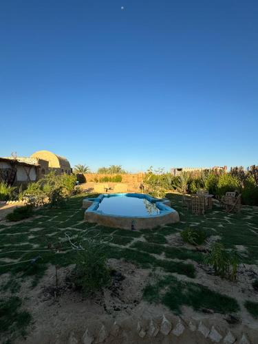 a yard with a pool in the middle of it at Siwa Serenity Home in Siwa