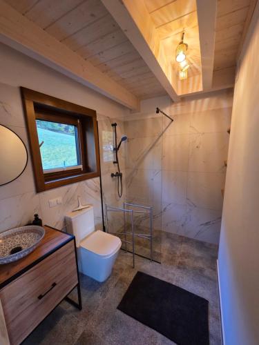 a bathroom with a toilet and a sink and a shower at Blisko natury - chatki z sauną w Zawoi in Zawoja