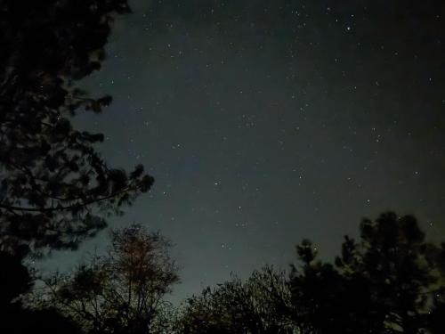 a starry night with trees in the foreground at Rocky Ridge Glamping Yosemite in Coarsegold
