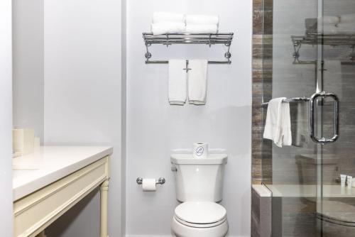 une salle de bain blanche avec toilettes et douche dans l'établissement Lakehouse Resort, à San Marcos