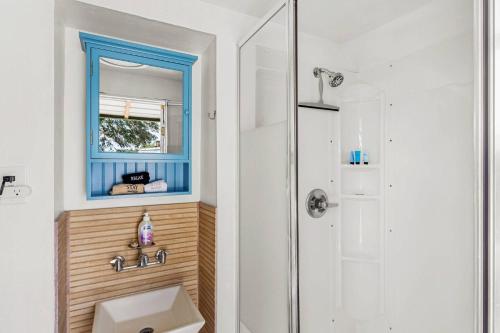 a bathroom with a sink and a mirror and a shower at The Dome in Cloptins Crossing