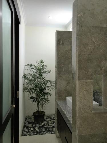 a bathroom with a potted plant next to a mirror at Indah Homestay in Seminyak