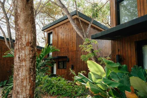 a wooden house with a tree in front of it at Soul - Oceanfront Jungle Loft in Playa Venao