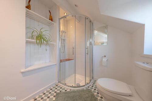 a bathroom with a shower and a toilet and a sink at Allt-Goch in Llanbedr