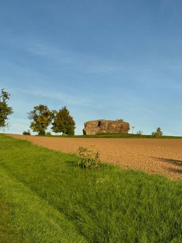 a field of grass with a large rock in the background at Ubytování uprostřed Evropy in Kouřim
