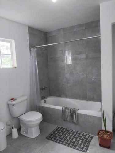 a bathroom with a tub and a toilet and a shower at Clarke Place in Mandeville