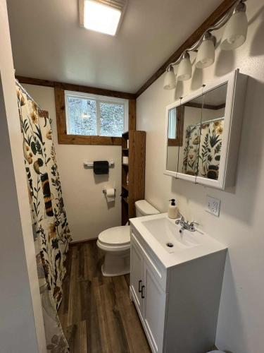 a bathroom with a white sink and a toilet at The Renovated Farmhouse at Seneca Rocks in Seneca Rocks