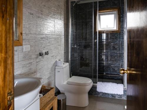 a bathroom with a toilet and a shower and a sink at Cabañas Sierra Dorotea in Puerto Natales