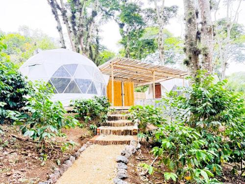 a garden with a greenhouse and a house at Alma Glamping in Xalapa