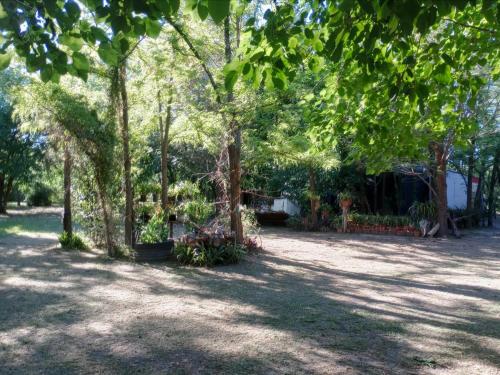 a group of trees in a yard at EL ENCUENTRO Domo Geodesico in Miramar