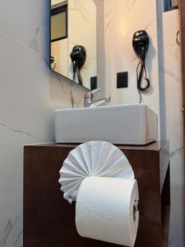 Un rollo de papel higiénico debajo del lavabo del baño. en El Suburbio - Aldama, en Morelia