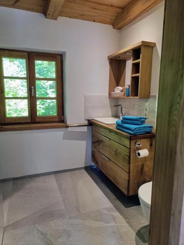 a bathroom with a sink and a toilet at Casa Hochberg in Siegsdorf