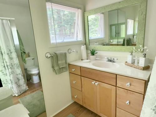 a bathroom with a sink and a mirror at Crystal View Hideaway - Spectacular Lakeview! in Beulah