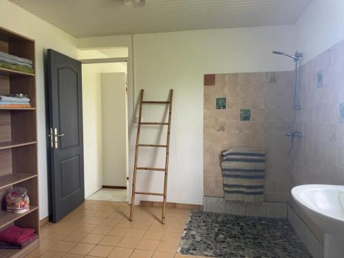 a bathroom with a ladder next to a shower and a sink at Maison Panorama 2 chambres in Sainte-Luce