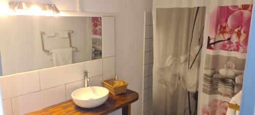 a bathroom with a white sink and a shower at Paradies Caraïbes III in Les Abymes