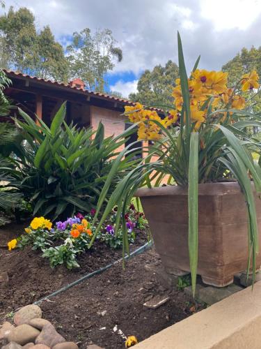 a large planter with flowers in a garden at Sítio das Flores - 4 quartos - 8 a 10 pessoas in Garibaldi